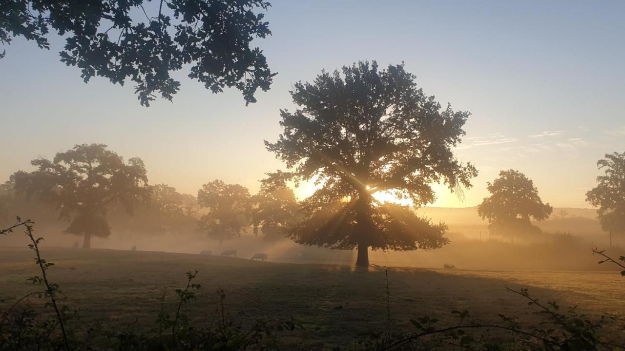 Glamping Les Arbres, Luxe Safaritent Met Zwembad Cronat Bagian luar foto